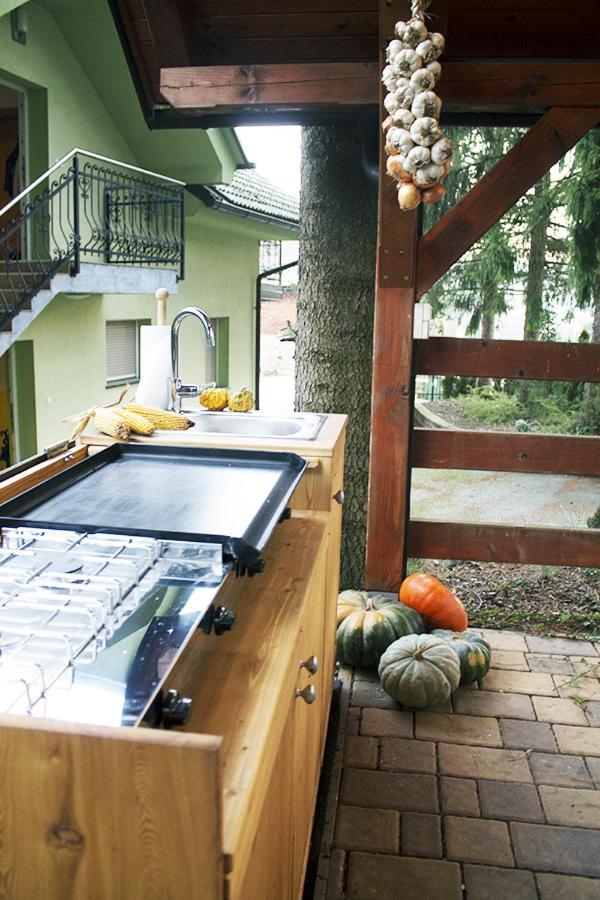 Apartma Pegaz 로가스카슬라티나 외부 사진