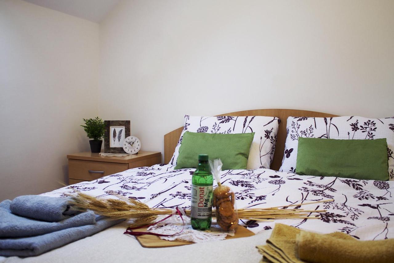 Apartma Pegaz 로가스카슬라티나 외부 사진